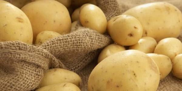 Azərbaycan özünü kartofla təmin edə bilirmi ?