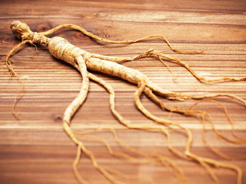 İnsana oxşayan bu bitki 25 yaşına çatanda alimləri belə heyrətə salır - Tərkibi o qədər zəngindir ki…