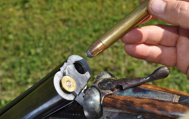 Meşədə güllələnmə