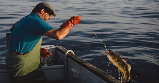 Azərbaycanda ən çox hansı növ balıq ovlanır?