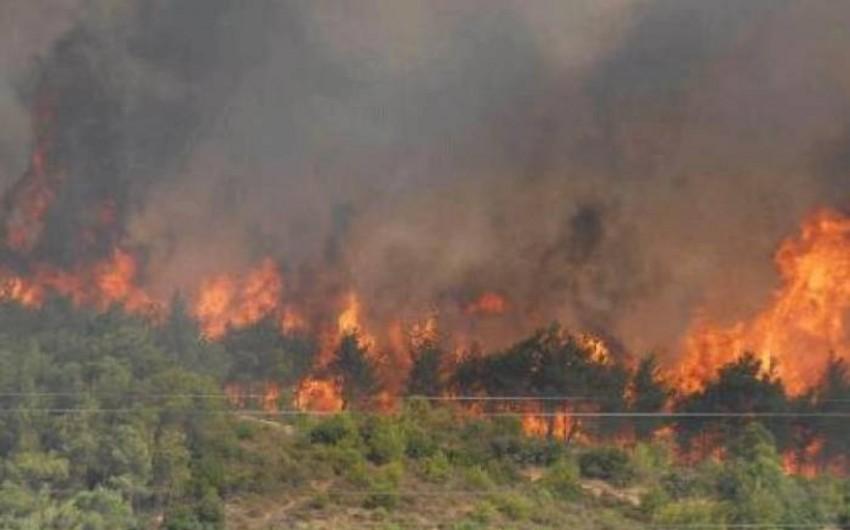 Ağsuda dağlıq ərazidə yanğın söndürüldü