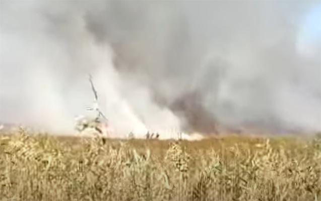 Külək Dövlət Qoruğundakı yanğının söndürülməsini çətinləşdirir - VİDEO