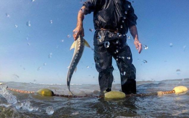 Balıq ovu ilə məşğul olan şəxslərin DİQQƏTİNƏ!