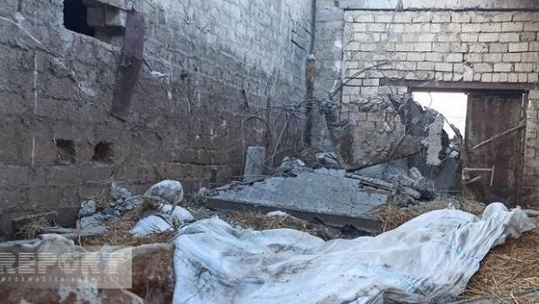 Sumqayıtda ferma uçdu: heyvanlar tələf oldu - Foto