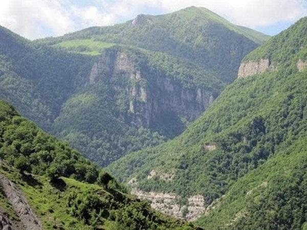 Kəlbəcər meşəsində bəbir göründü - FOTO