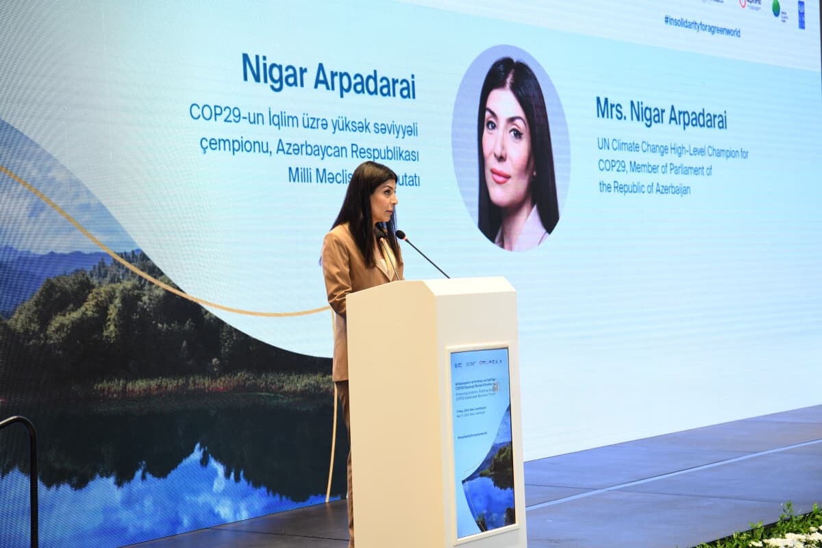 <span style="color:#ff0000"><b>Nigar Arpadarai:</b></span> Milli Məclisə seçkilərin yeganə &quot;yaşıl&quot; namizədi