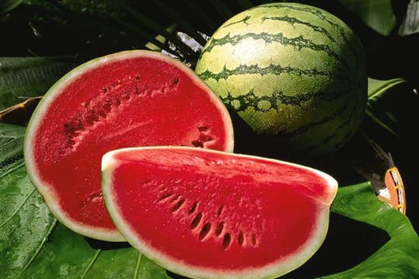 Qarpız yeməyin! - <span style="color:#ff0000"><b>Bu şəxslərə XƏBƏRDARLIQ</b></span>