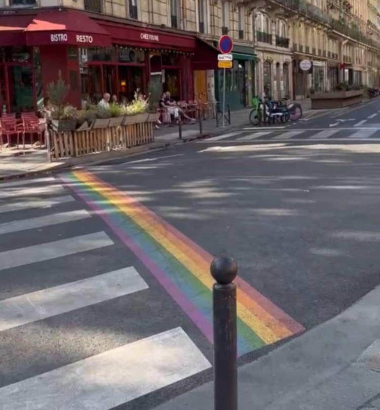 Fransa küçələrində LGBT-yə açıq dəstək - FOTO