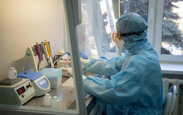 Meymun çiçəyi tüğyan edir: Peyvəndlər virusa yoluxma hallarının qarşısını alırmı?