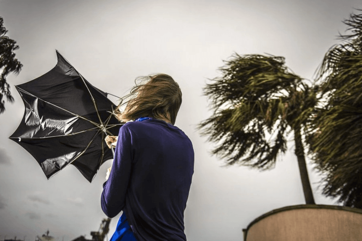 Küləklə bağlı əhaliyə sarı xəbərdarlıq edildi