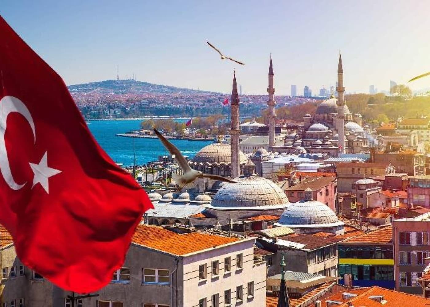 Türkiyə dünyada bu məhsulun əsas satıcısıdır - <b><span style="color:#ff0000">RƏQƏMLƏR</span></b>