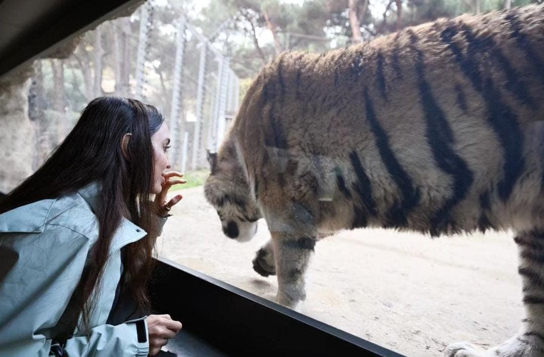 Leyla Əliyeva Bakı zooparkından paylaşım etdi - <span style="color:#ff0000">FOTOLAR</span>