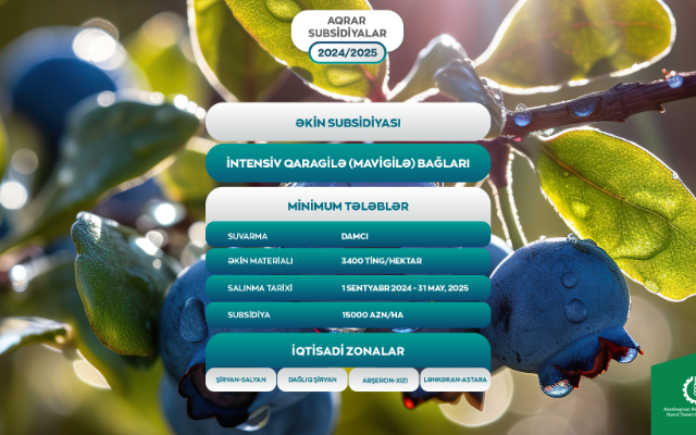 Bu fermerlərə 15000 manat birdəfəlik <span style="color:#ff0000"><b>əkin subsidiyası veriləcək</b></span>