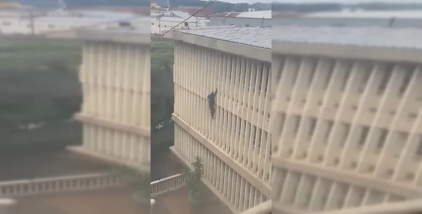 Oğrunun məhkəmə binasından qaçma videosu viral oldu - VİDEO