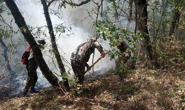 Qusarda dağlıq ərazidə yanğın başladı