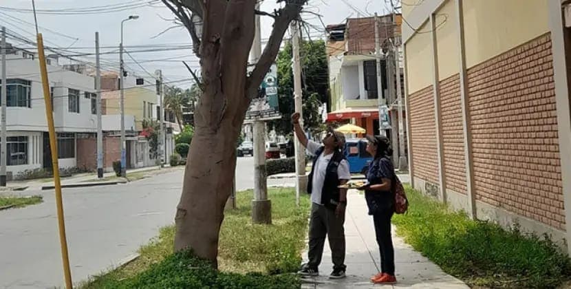 
Evləri qarət edən oğrunu axtaran <span style="color:#ff0000">polis şoka düşdü</span>