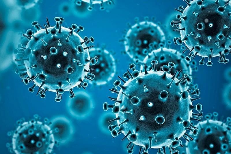 Bu virus ilk dəfə insanda <span style="color:#ff0000">aşkarlandı</span>