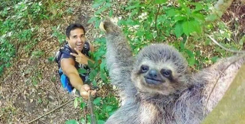 Çəkdiyi gülməli selfi &quot;Tarixdə indiyə qədərki ən yaxşı fotolardan biri&quot; adlandırıldı - <span style="color:#ff0000">FOTO</span>
