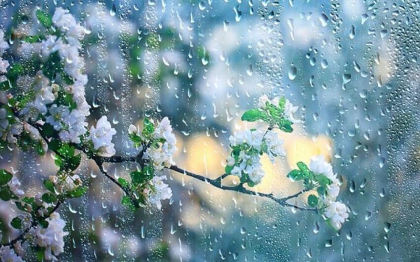 Bəzi rayonlarda şimşək çaxacaq, dolu düşəcək - PROQNOZ