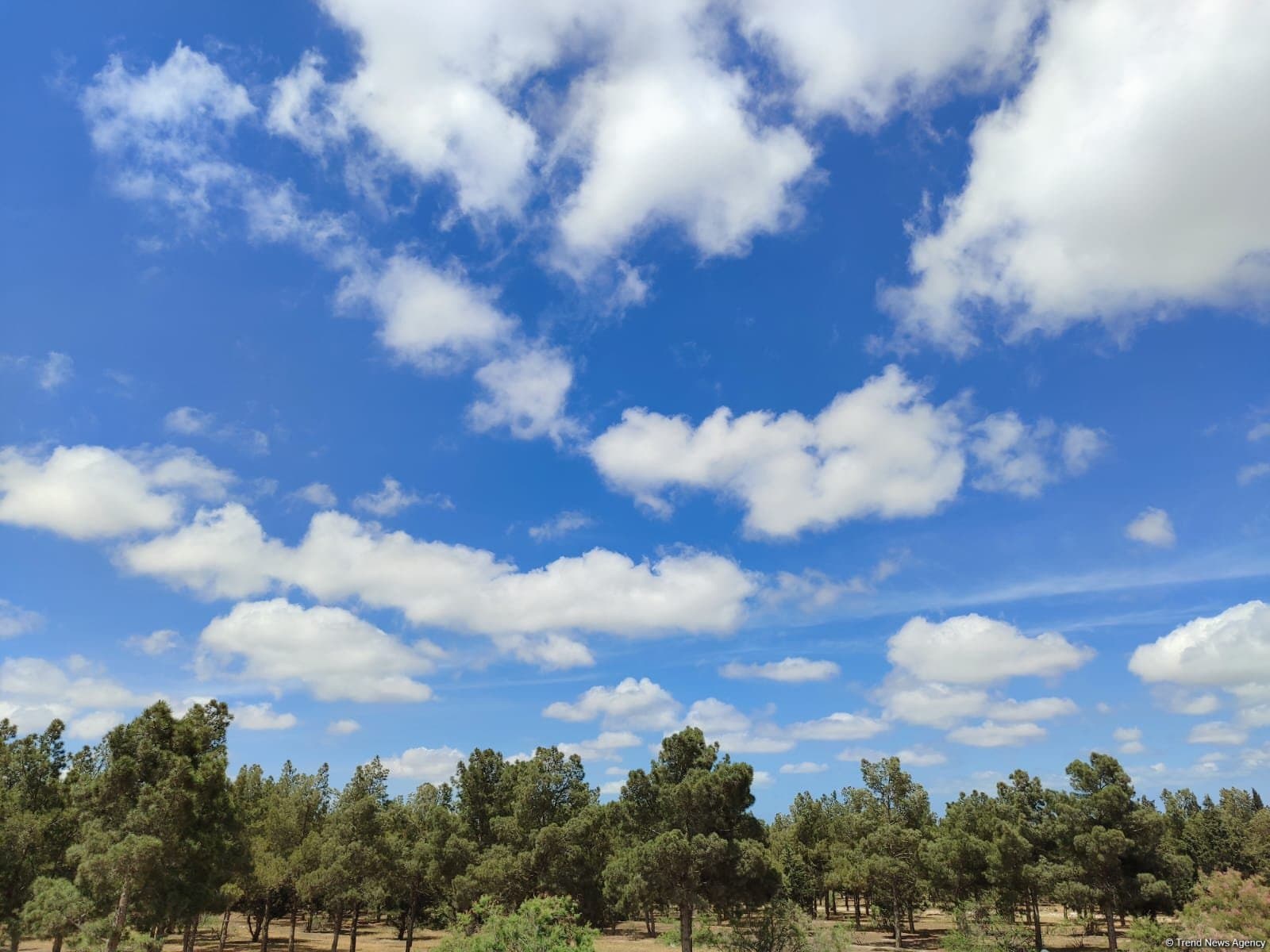 Temperatur və yağıntı bəzi yerlərdə iqlim normasından <span style="color:#ff0000">artıq olacaq</span>
