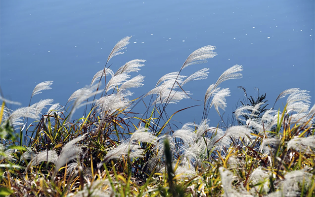 Hava nə zaman stabilləşəcək? - PROQNOZ