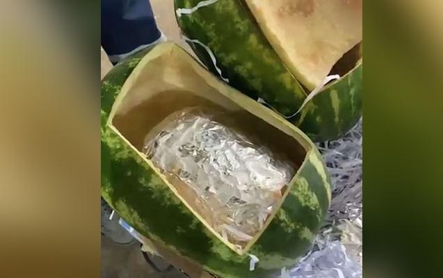 Qarpızların içindən 63 kq narkotik çıxdı