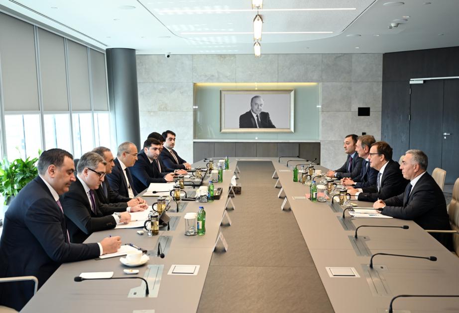 Mikayıl Cabbarov Eddi Pirard ilə görüşdü