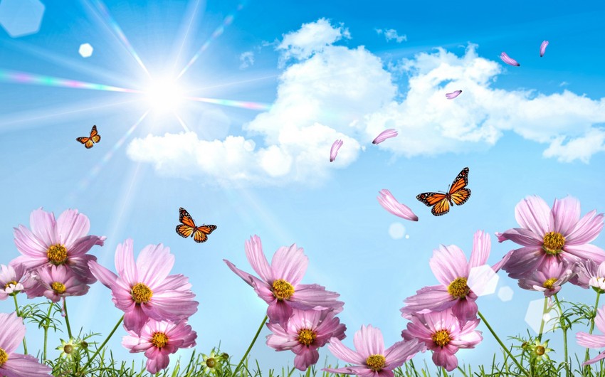 Sabah Bakıda 26&deg; isti olacaq