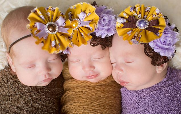 Bu il 42 üçəm doğulub