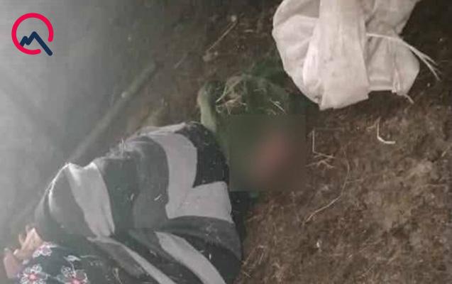 74 yaşlı qadının əl-ayağını bağlayıb başına kisə keçirdilər - Pullarını da oğurladılar