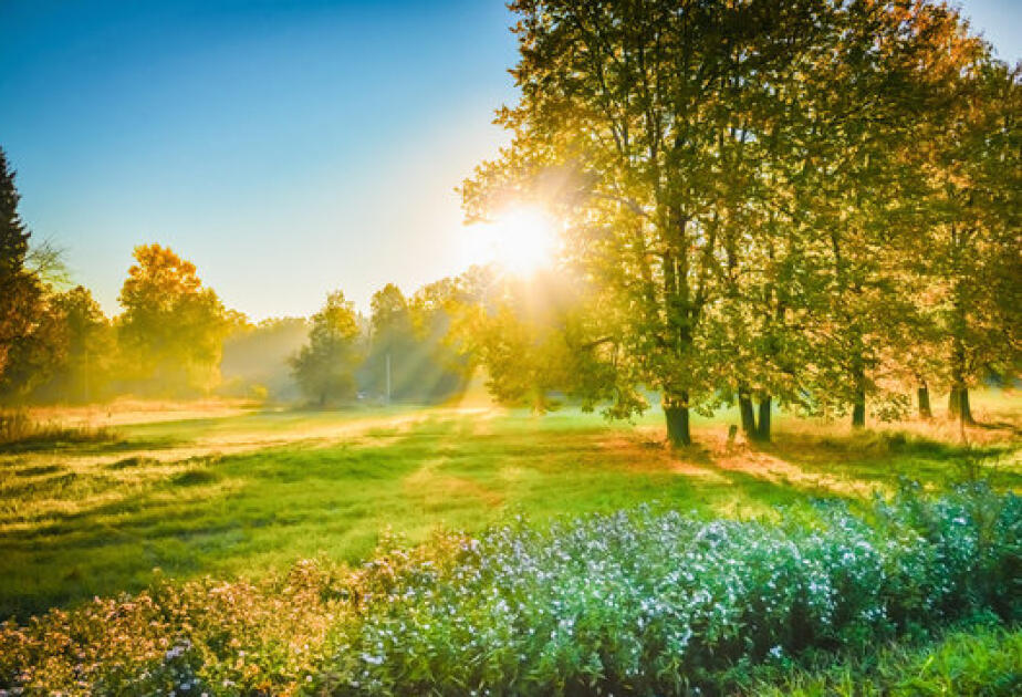 Sabah 36 dərəcə isti olacaq