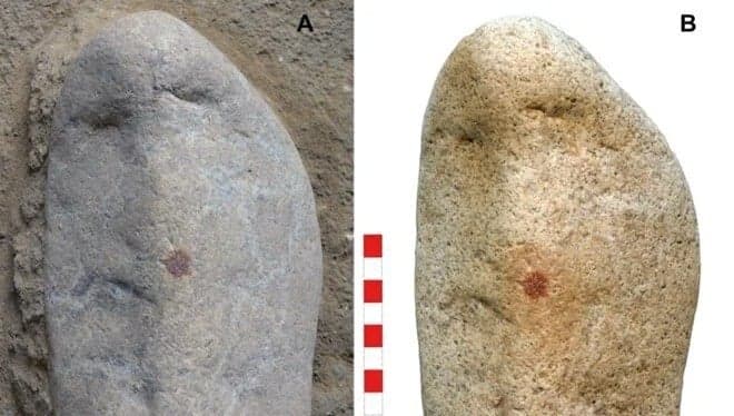Neandertalın barmaq izi tapıldı &ndash; <span style="color:#ff0000">FOTO</span>