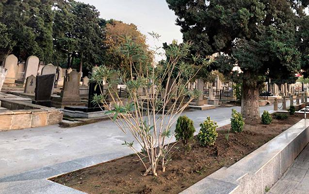 Qəbiristanlıqda 14 yaşlı qıza əxlaqsızlıq edənə- 4 il 3 ay həbs!