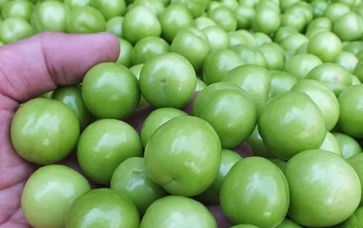 Alça yedikdən sonra bunu edin - XƏBƏRDARLIQ