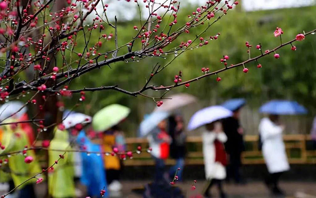 Sabah yağış yağacaq