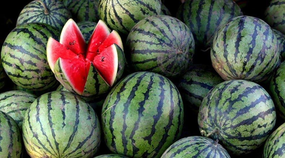 Qarpızdan zəhərlənməmək üçün nə edək?