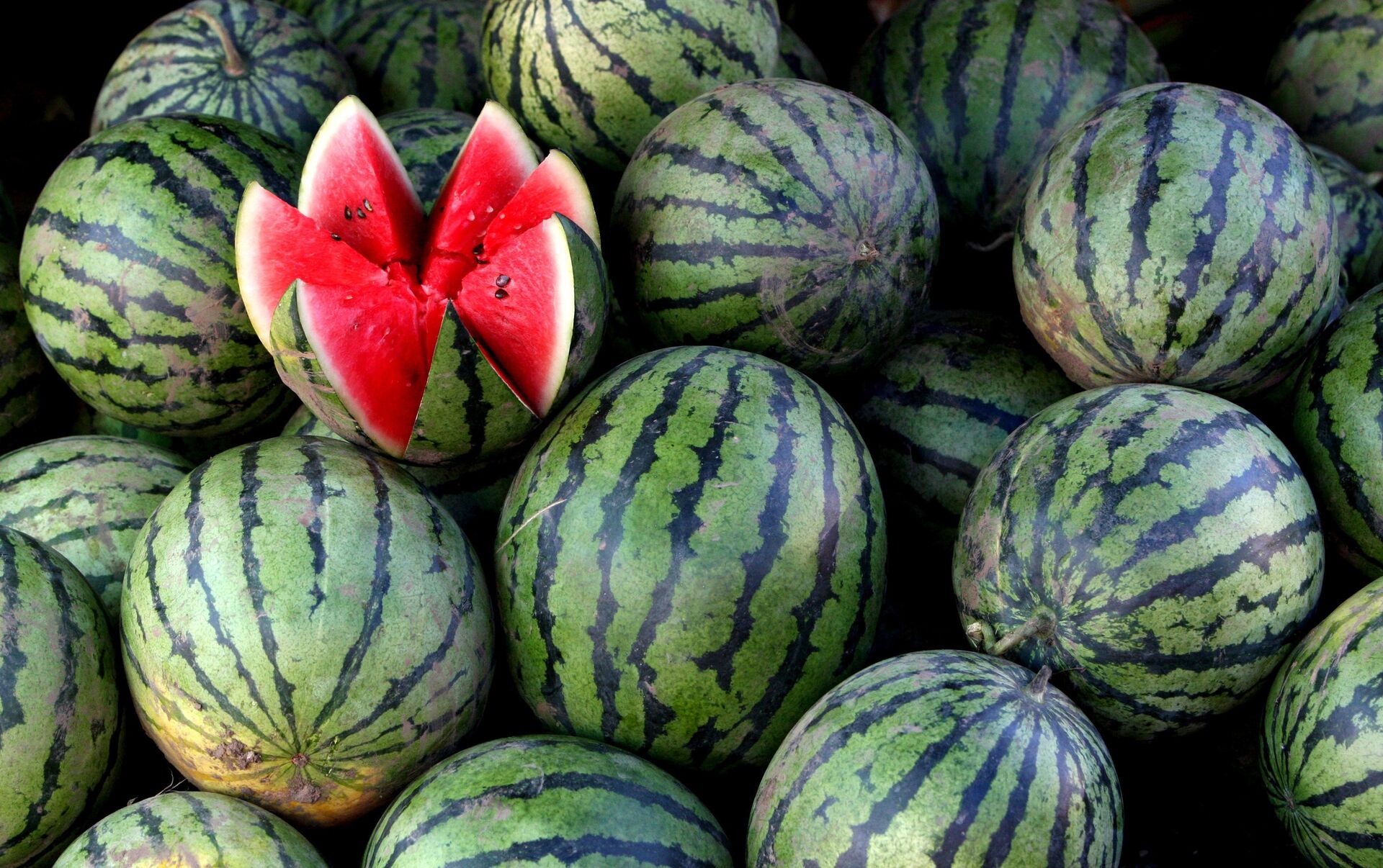 Qarpızdan 16 nəfər zəhərlənib