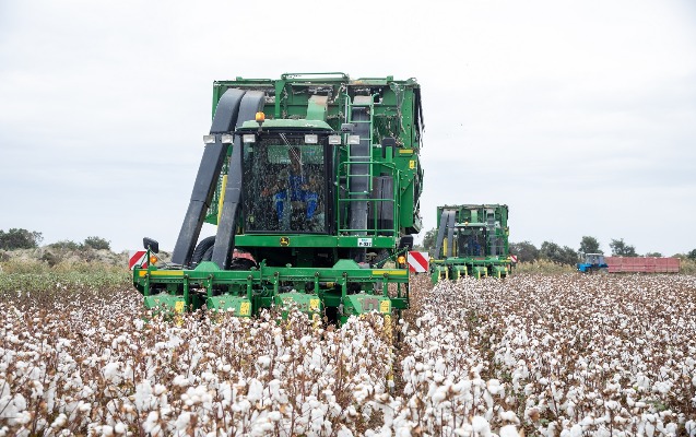 Pambıq istehsalçılarına qəbz elektron formada veriləcək