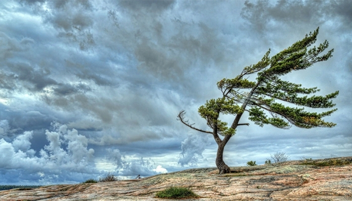 Külək, duman - Sabahın HAVASI