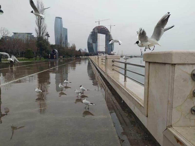 Sabah Bakıda yağış yağacaq