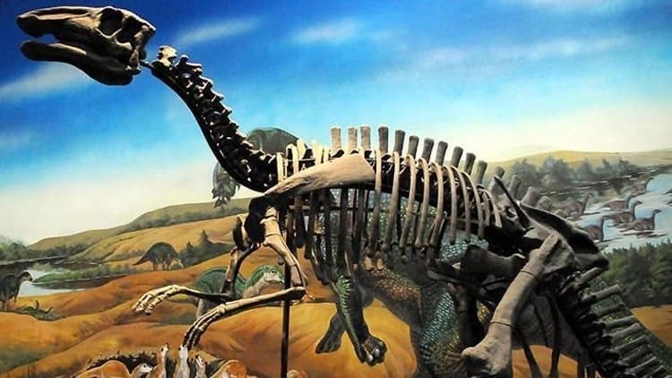 Yeni dinozavr növü kəşf edildi - <span style="color:#ff0000">FOTO</span>