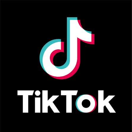 "TikTok"da dələduzluq edən şəxs saxlanıldı