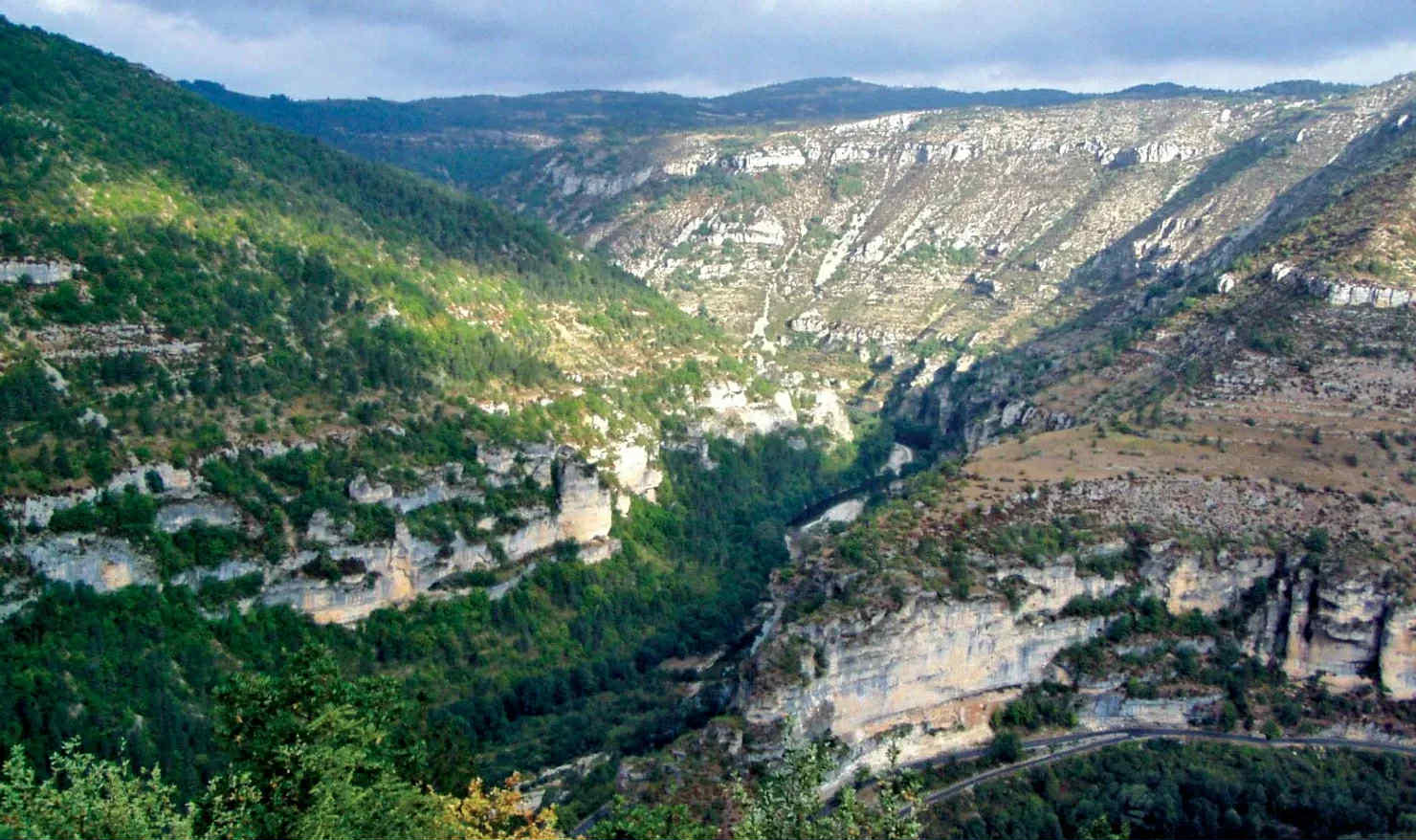 Şərabın gücü: Yaşlı velosipedçi ölümcül dərədən sağ çıxdı