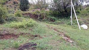 Torpaq sahələri ucuz qiymətə satışa çıxarıldı - MƏBLƏĞLƏR