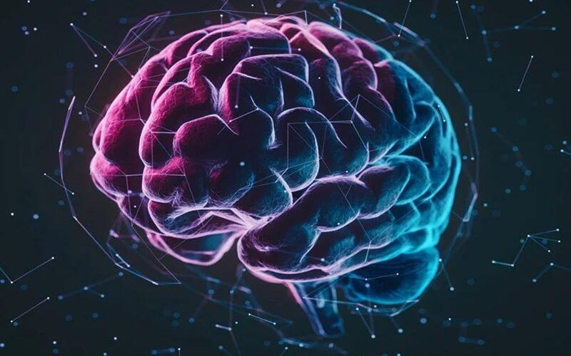Alimlər beyni qocalmaqdan qorumağın yolunu tapdı