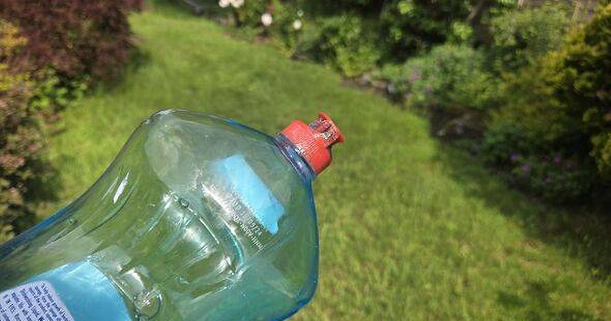 Noyabr sirri: bağlara yuyucu vasitə niyə tökürlər?