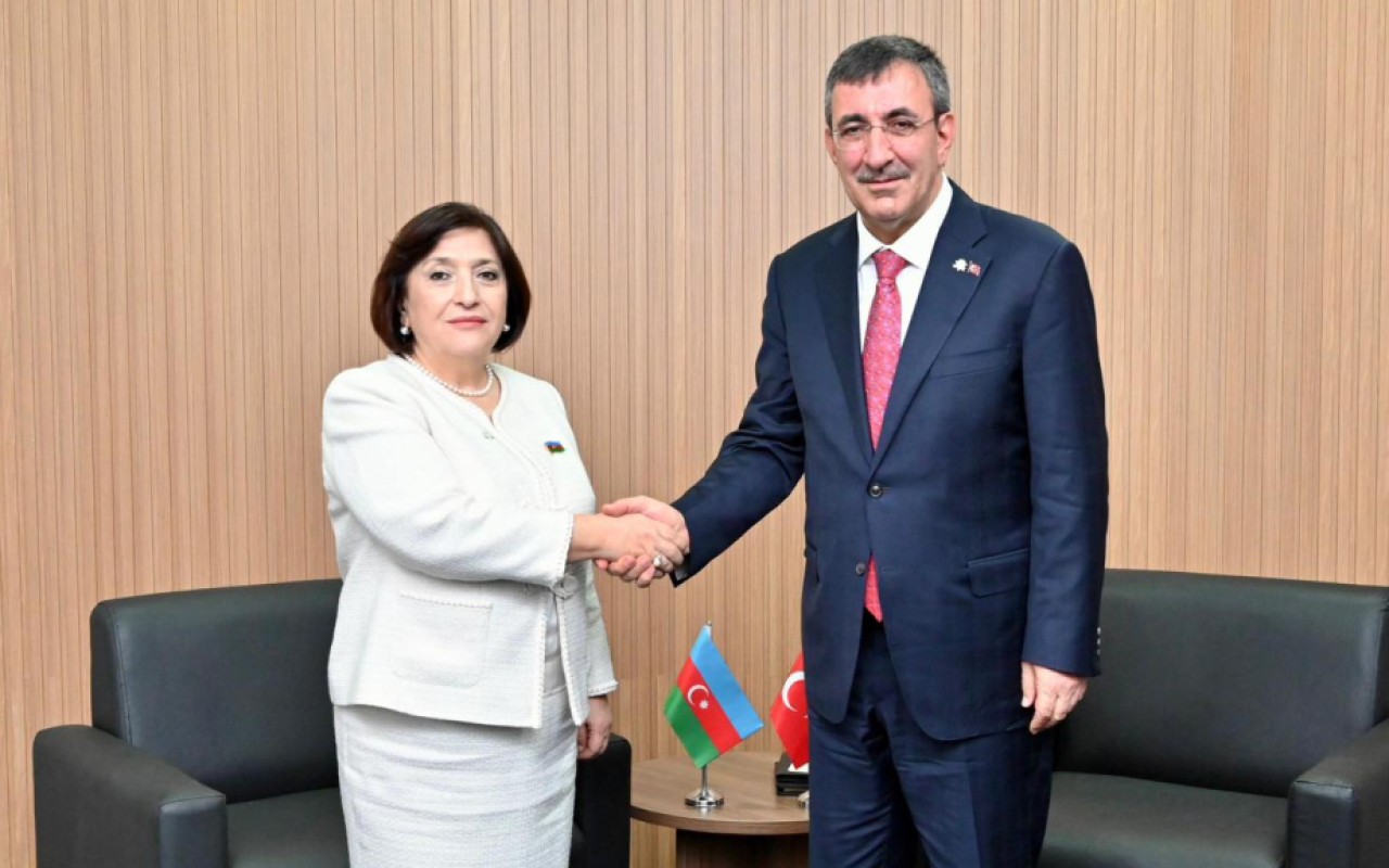 Sahibə Qafarova Türkiyənin Vitse-prezidenti ilə görüşdü