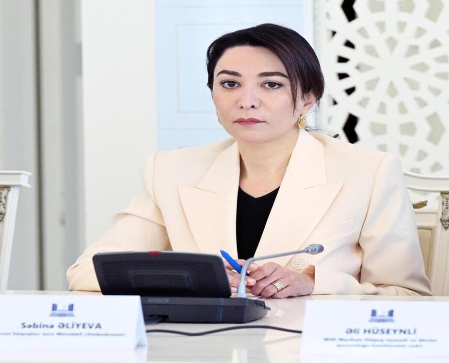 "İnsan hüquqlarının təminatı üçün əlavə vəsaitə ehtiyac var" – Ombudsman