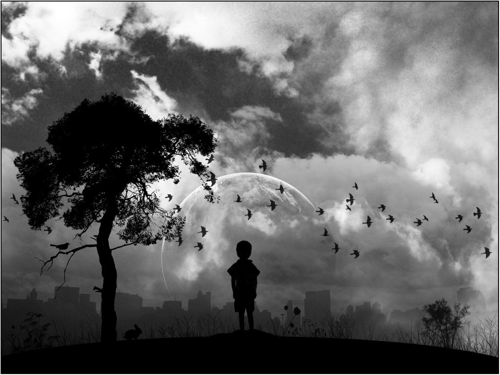 Dünya rəngsizləşir: "İnsanların iç dünyası dəyişib"