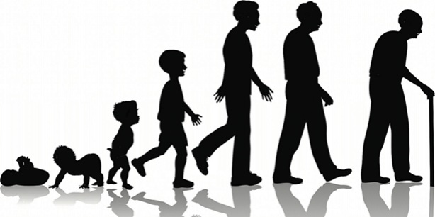 Bunlar insan ömrünü qısaldır - ARAŞDIRMA